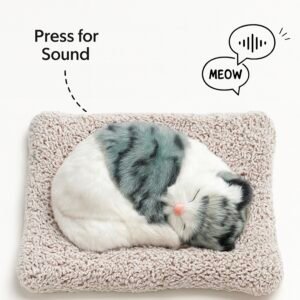 Grey & White Cat