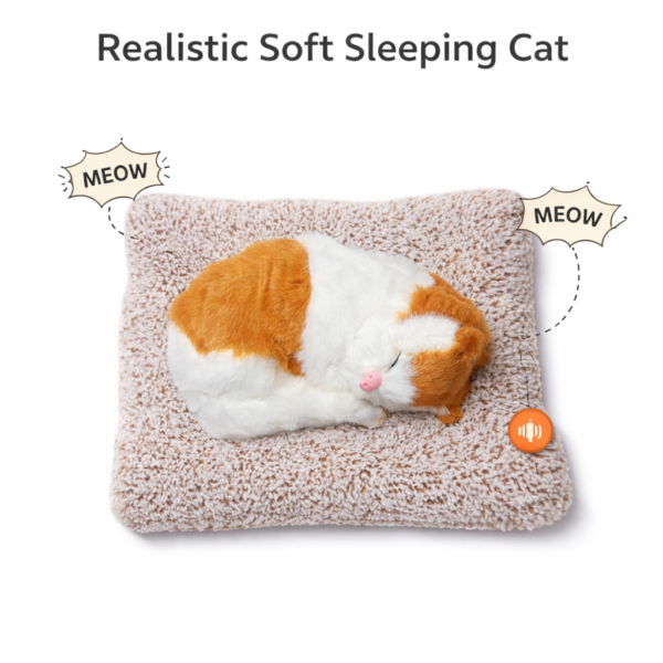 Dark Brown & White Cat