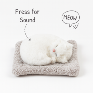 Cart White Cat